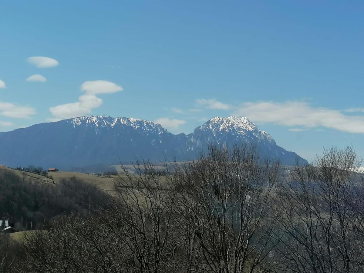 Conacul Elenei Villa Almafatelep Kültér fotó