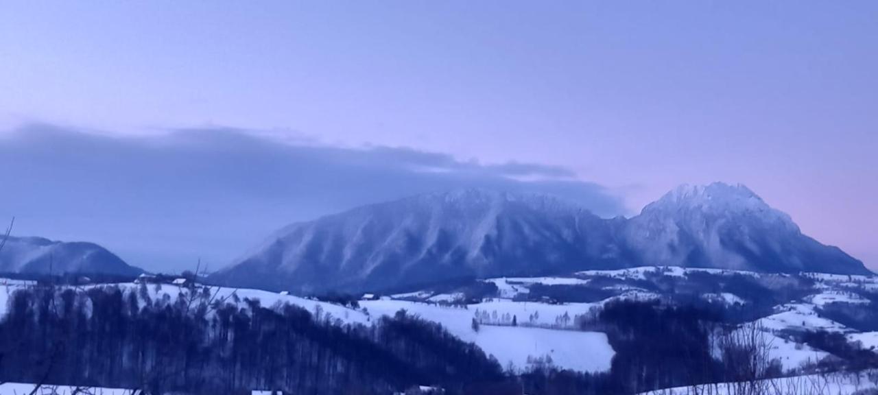 Conacul Elenei Villa Almafatelep Kültér fotó