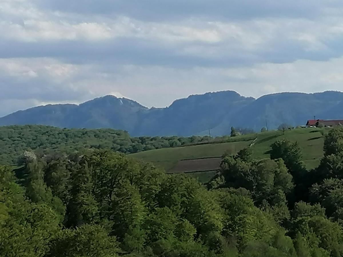 Conacul Elenei Villa Almafatelep Kültér fotó