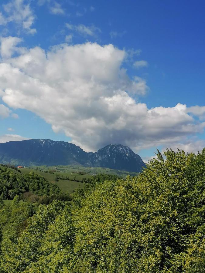 Conacul Elenei Villa Almafatelep Kültér fotó