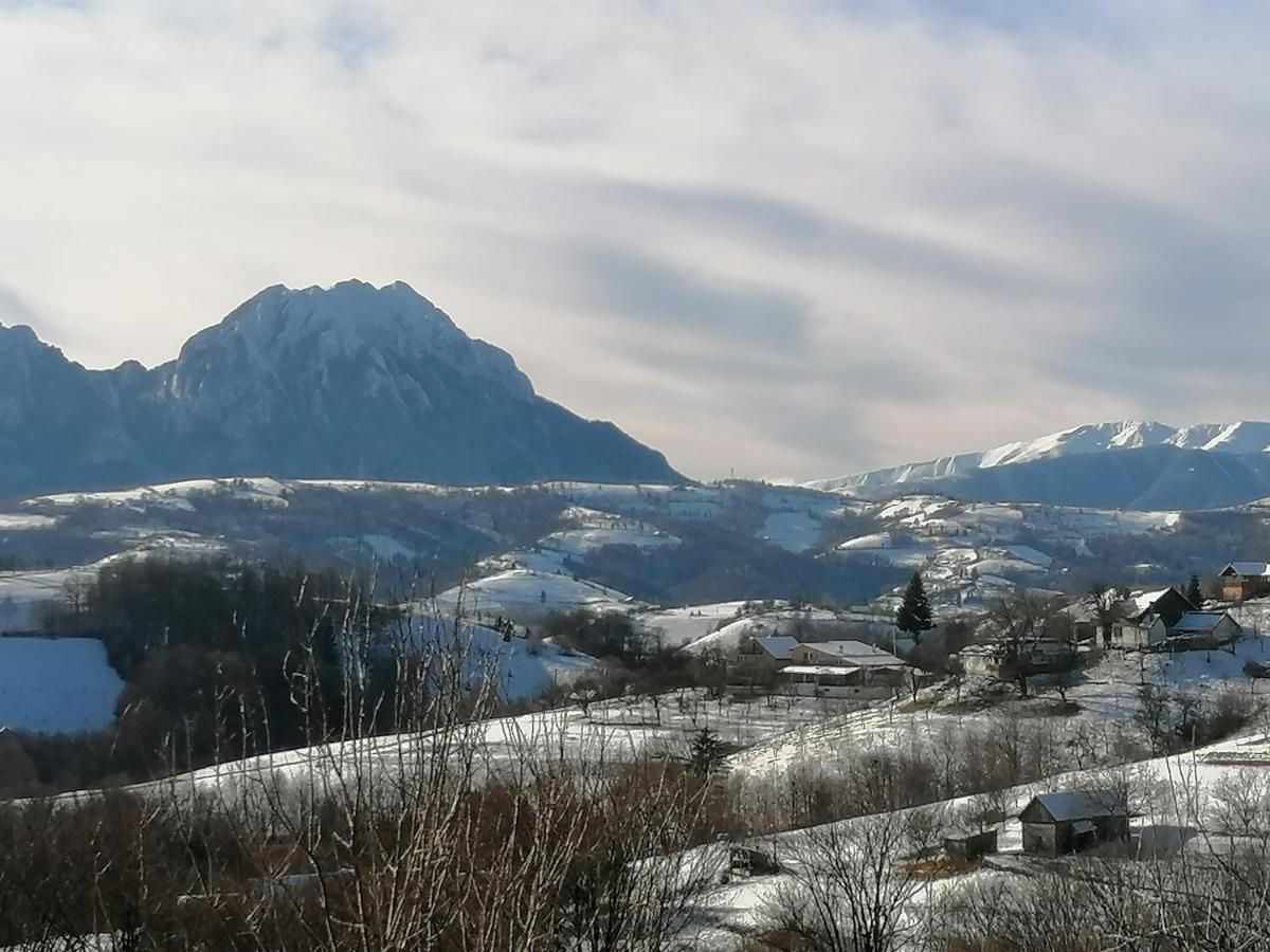 Conacul Elenei Villa Almafatelep Kültér fotó