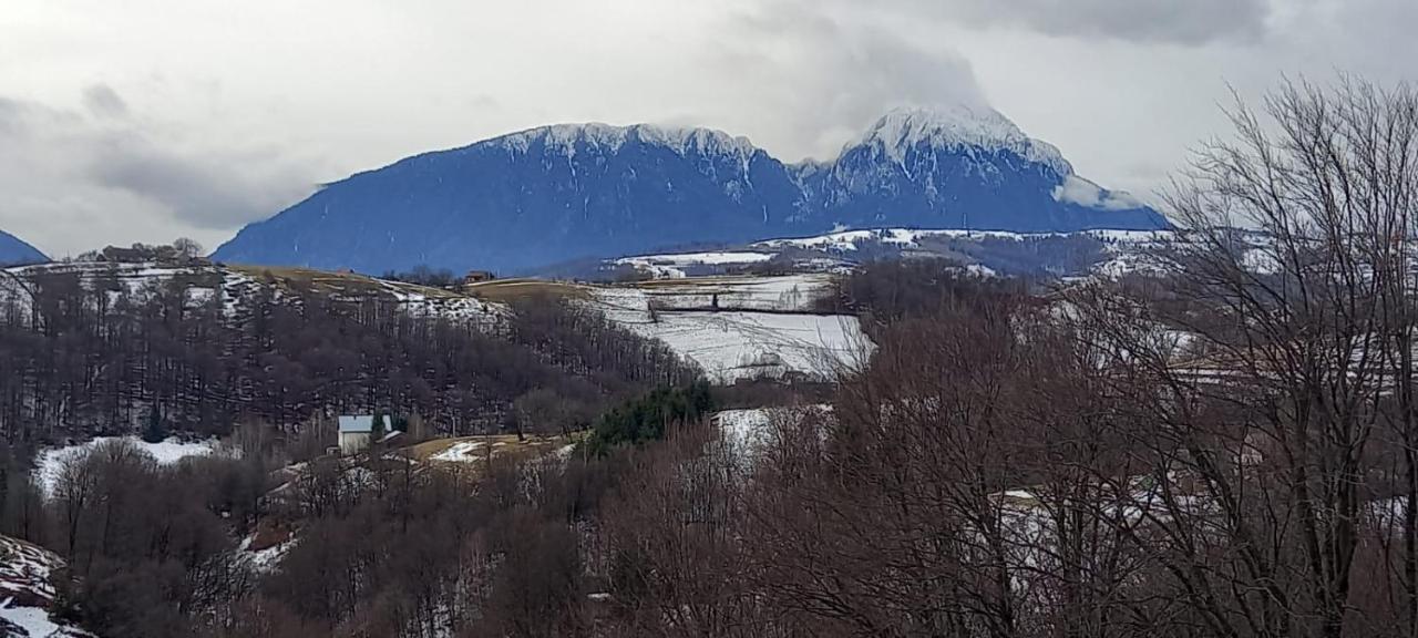 Conacul Elenei Villa Almafatelep Kültér fotó