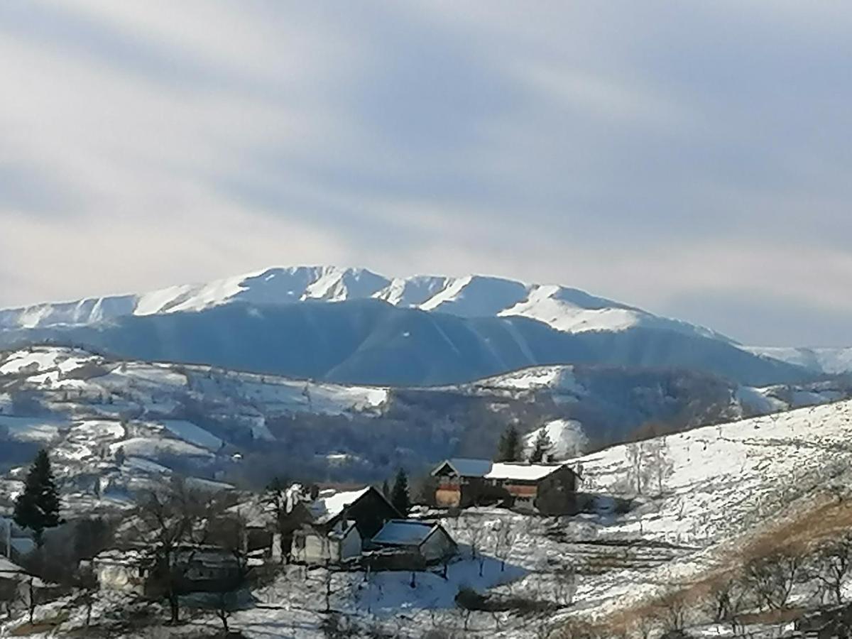 Conacul Elenei Villa Almafatelep Kültér fotó