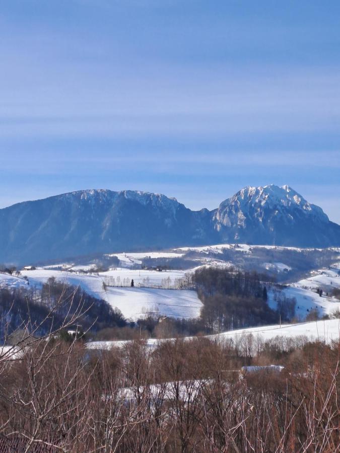 Conacul Elenei Villa Almafatelep Kültér fotó