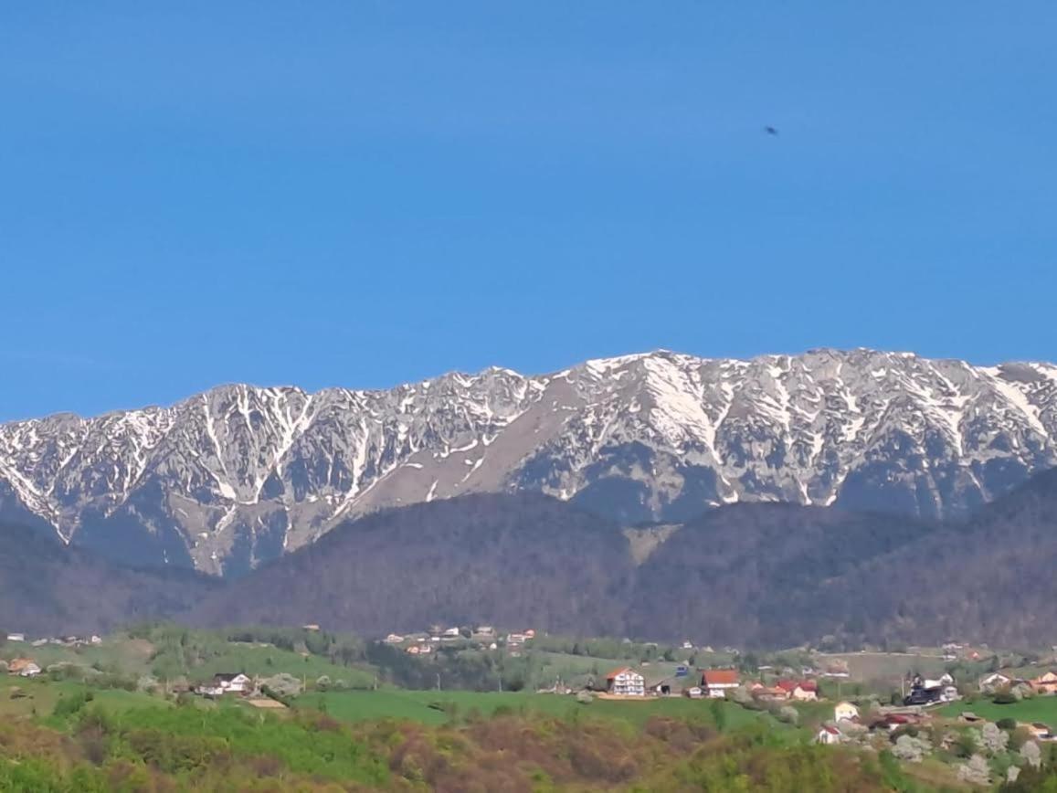 Conacul Elenei Villa Almafatelep Kültér fotó