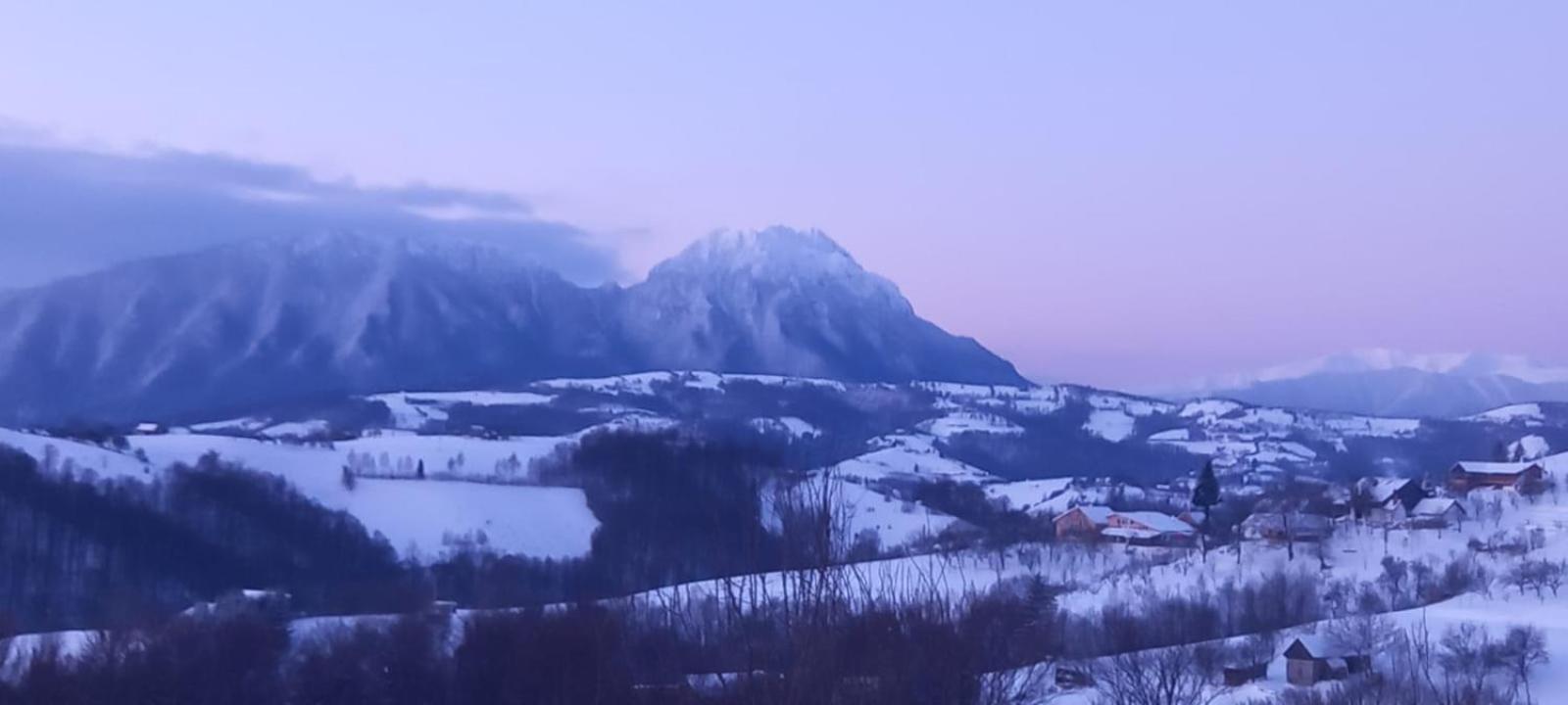 Conacul Elenei Villa Almafatelep Szoba fotó